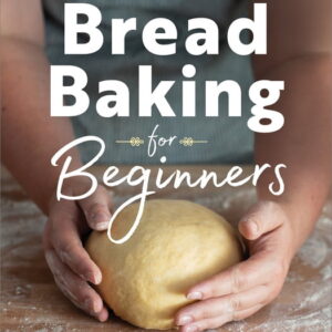Bread Baking for Beginners : The Essential Guide to Baking Kneaded Breads, No-Knead Breads, and Enriched Breads (Hardcover)