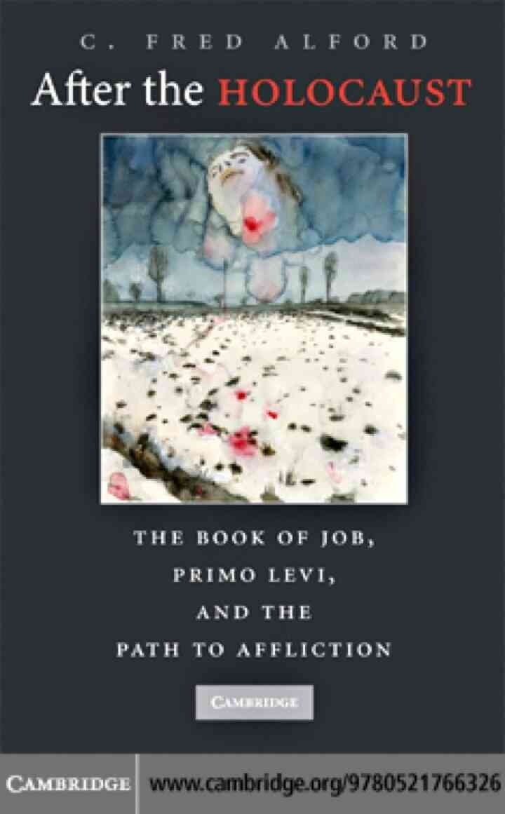 After the Holocaust: The Book of Job, Primo Levi, and the Path to Affliction
