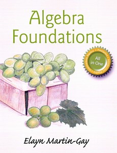 Algebra Foundations Prealgebra, Introductory Algebra, & Intermediate Algebra by Elayn Martin-Gay