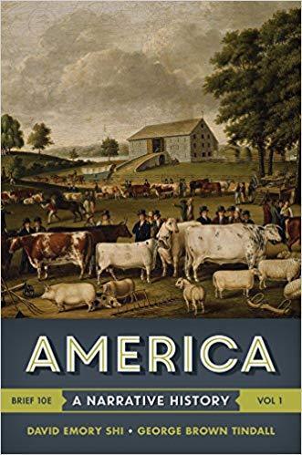 America: A Narrative History (Vol. 1) Brief Tenth Edition by David E. Shi