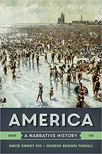 America: A Narrative History Vol. One-Volume Brief Tenth Edition by David E. Shi