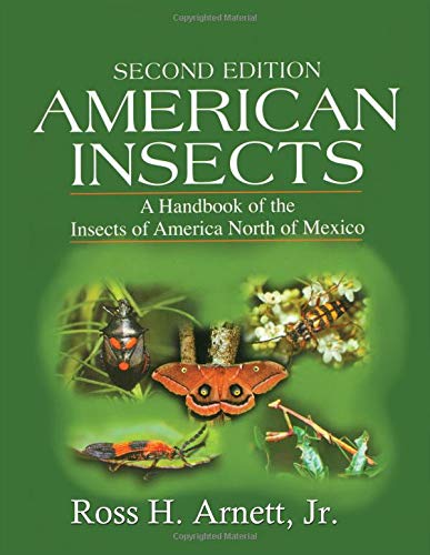 American Insects