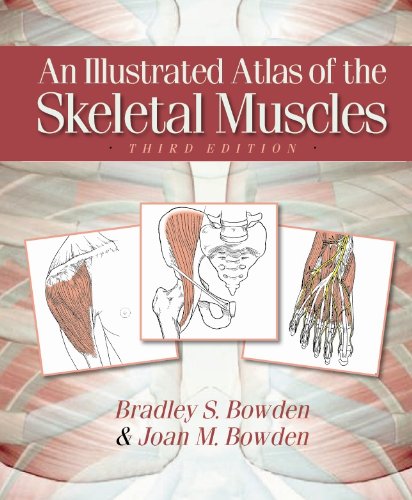 An Illustrated Atlas of the Skeletal Muscles, 3e