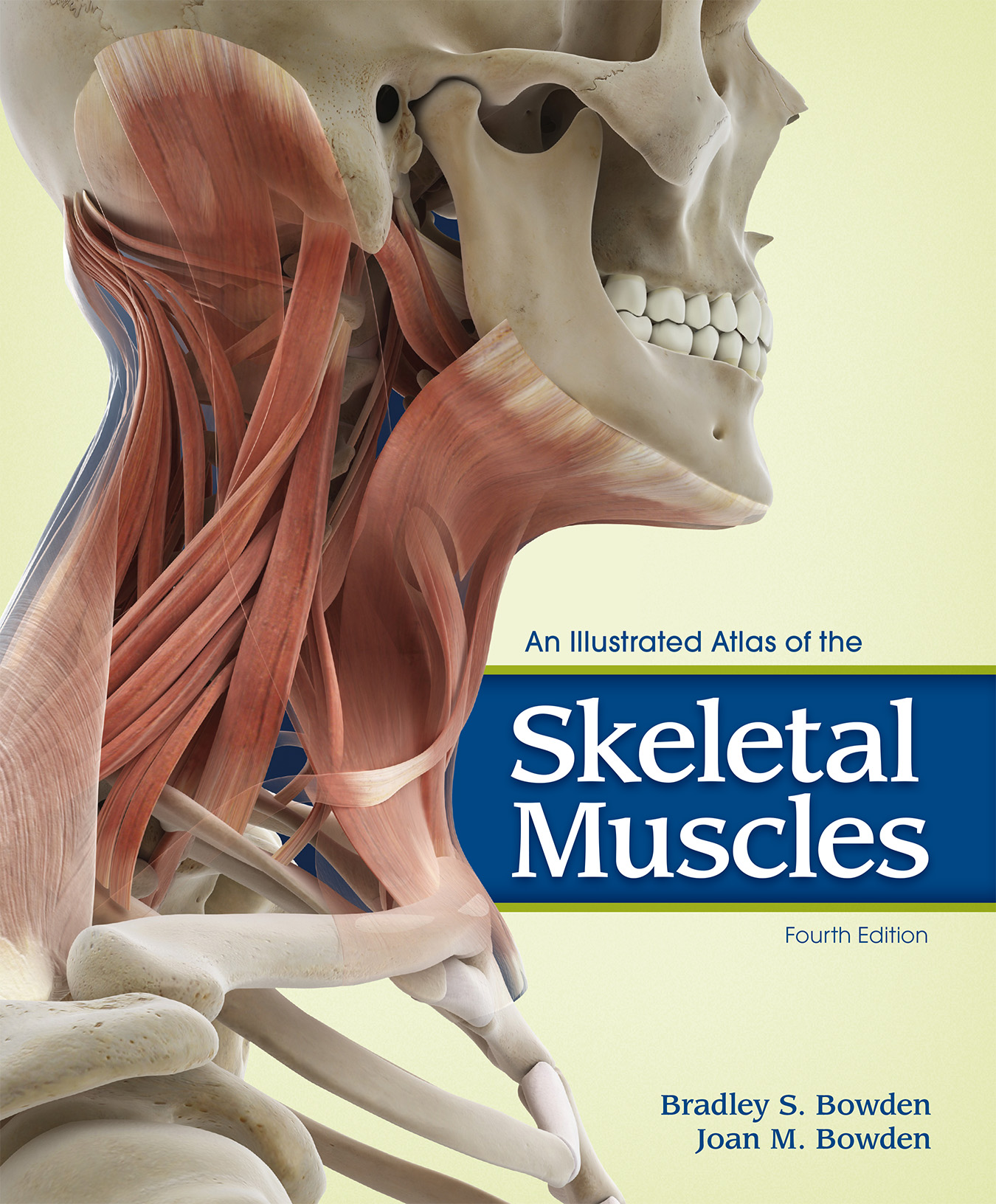 An Illustrated Atlas of the Skeletal Muscles
