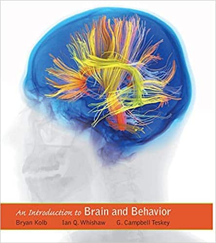 An Introduction to Brain and Behavior (5th Edition)