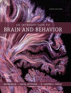 An Introduction to Brain and Behavior 6th Edition by Bryan Kolb