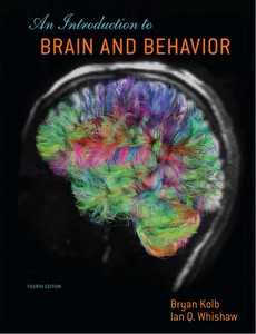 An Introduction to Brain and Behor 4th Edition by Bryan Kol