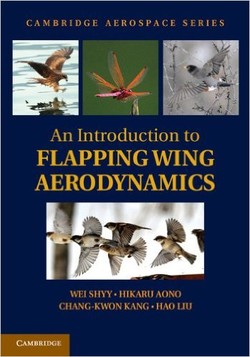 An Introduction to Flapping Wing Aerodynamics (Cambridge Aerospace Series)