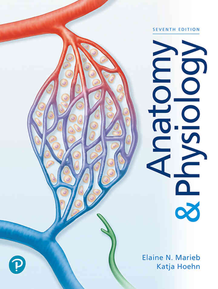 Anatomy & Physiology, 7th Edition
