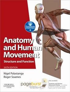 Anatomy and Human Movement Structure and function 6th Edition