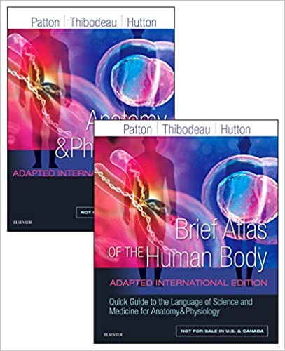 Anatomy and Physiology: Adapted International Edition