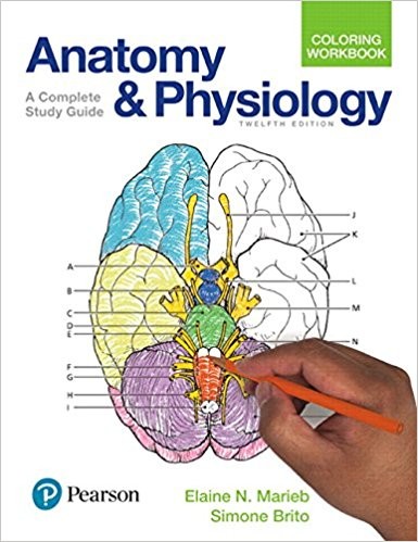 Anatomy and Physiology Coloring Workbook 12th Edition