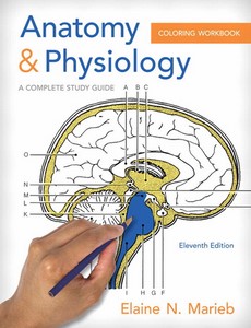 Anatomy and Physiology Coloring Workbook A Complete Study Guide 11th Edition by Elaine N. Marieb