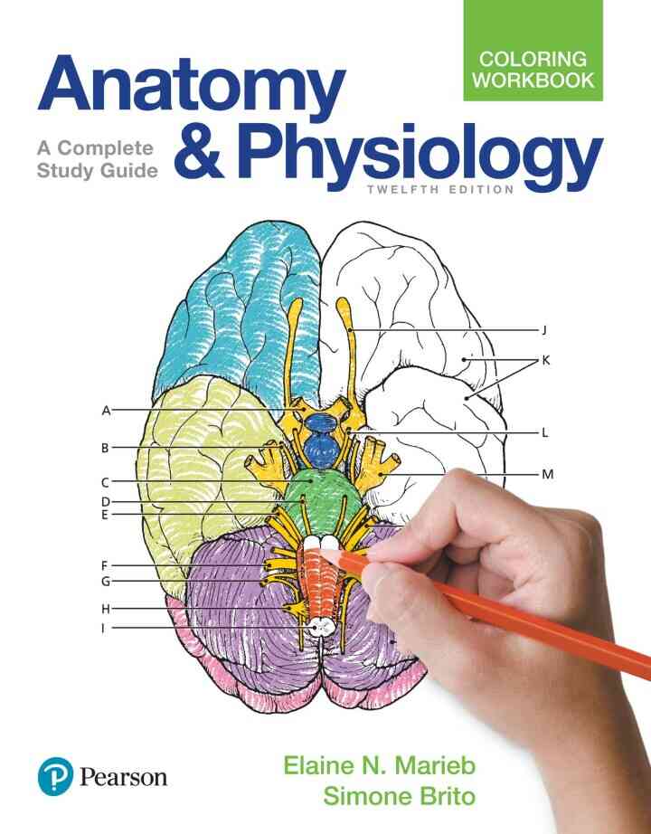 Anatomy and Physiology Coloring Workbook: A Complete Study Guide, 12th Edition