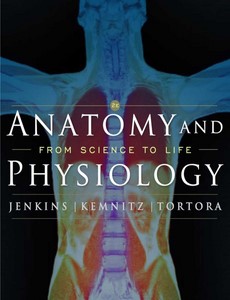 Anatomy and Physiology From Science to Life 2nd Edition by Gail Jenkins