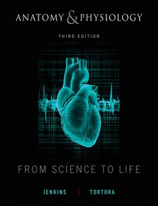 Anatomy and Physiology From Science to Life, 3rd Edition by Gail Jenkins