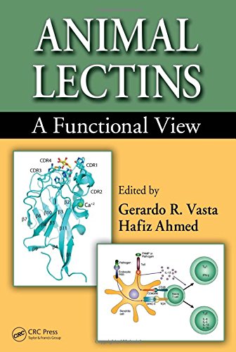 Animal Lectins