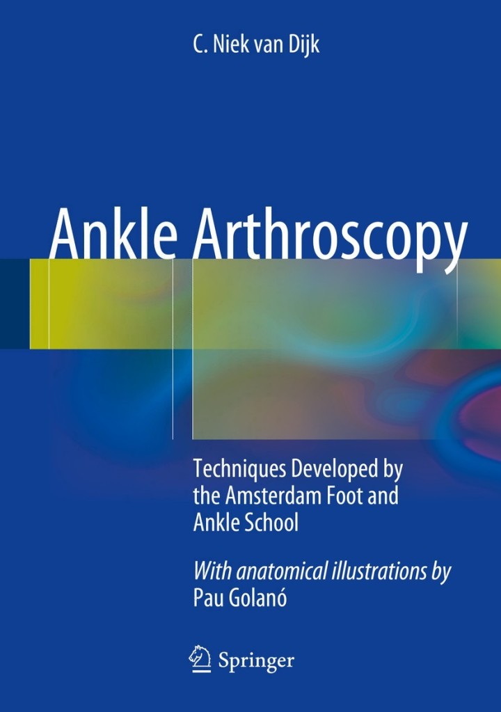 Ankle Arthroscopy: Techniques Developed by the Amsterdam Foot and Ankle School