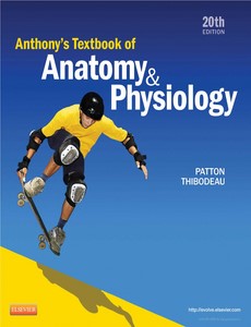 Anthony?s Textbook of Anatomy &  Physiology, 20th Edition by Patton, Kevin T.
