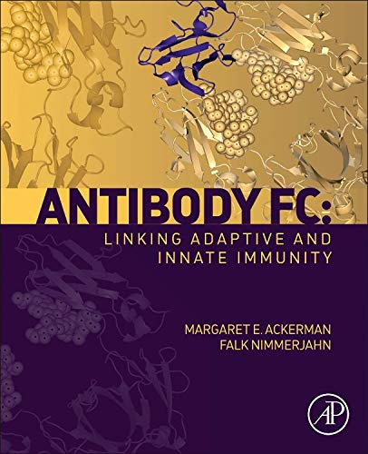 Antibody Fc:: Linking Adaptive and Innate Immunity