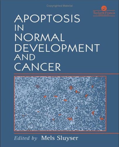 Apoptosis in Normal Development and Cancer