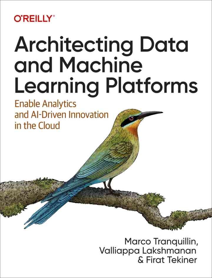 Architecting Data and Machine Learning Platforms: Enable Analytics and AI-Driven Innovation in the Cloud, 1st Edition
