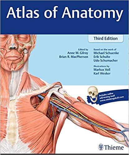 Atlas of Anatomy 3rd Edition by Anne M Gilroy