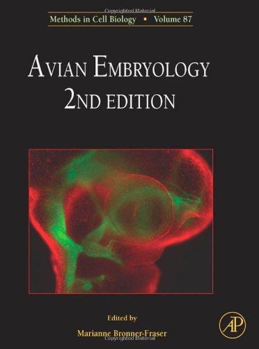 Avian Embryology