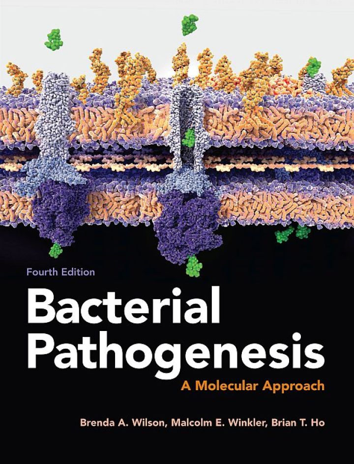 Bacterial Pathogenesis: A Molecular Approach