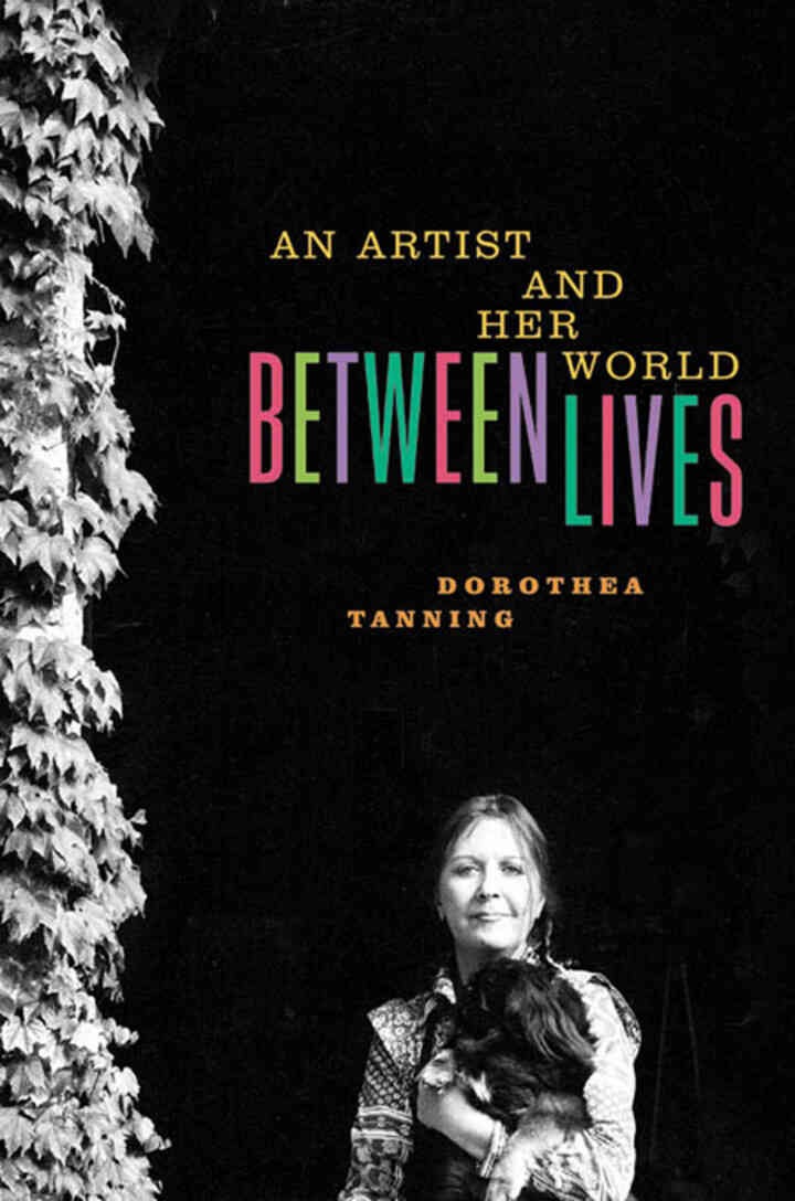 Between Lives: An Artist and Her World