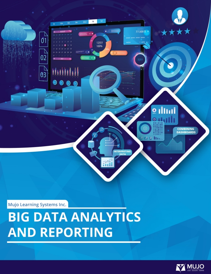 Big Data Analytics and Reporting