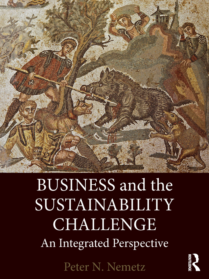 Business and the Sustainability Challenge: An Integrated Perspective