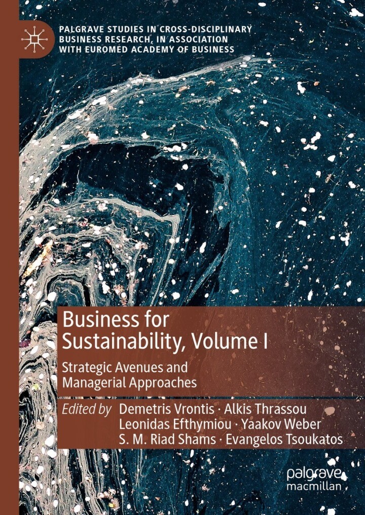 Business for Sustainability Volume I: Strategic Avenues and Managerial Approaches