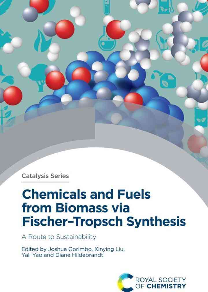 Chemicals and Fuels from Biomass via Fischer�Tropsch Synthesis: A Route to Sustainability