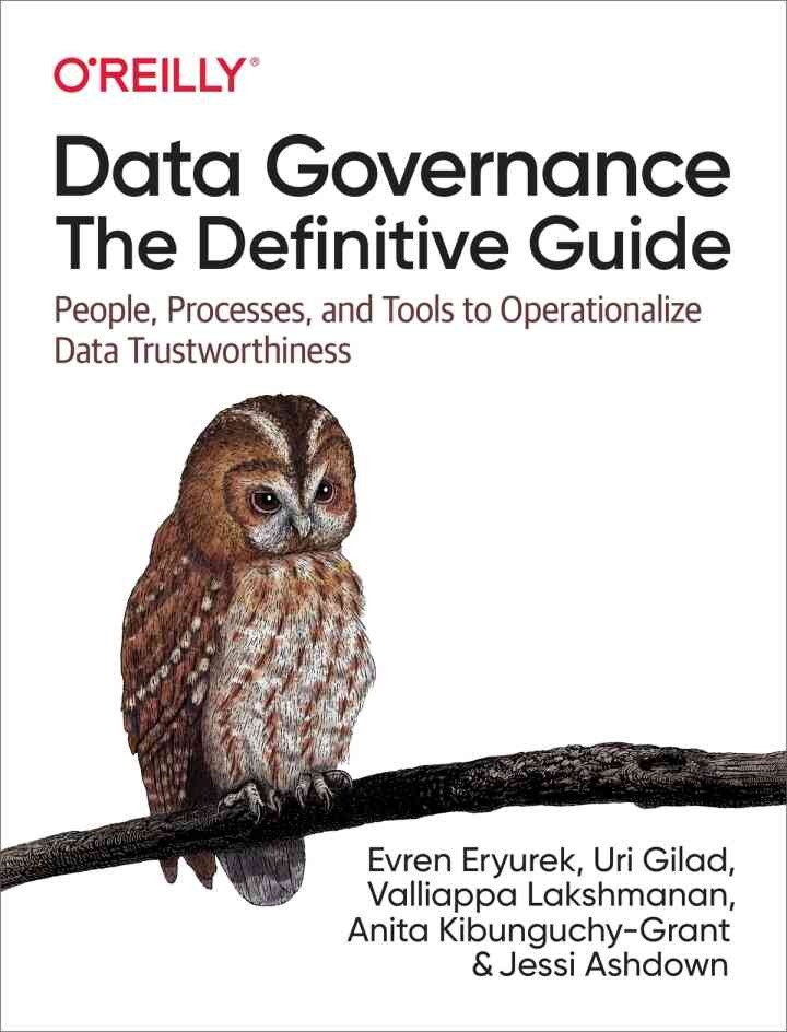 Data Governance: The Definitive Guide, 1st Edition