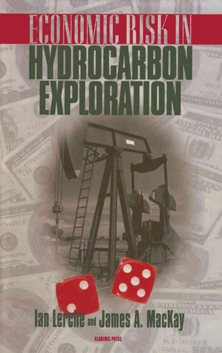 Economic Risk in Hydrocarbon Exploration