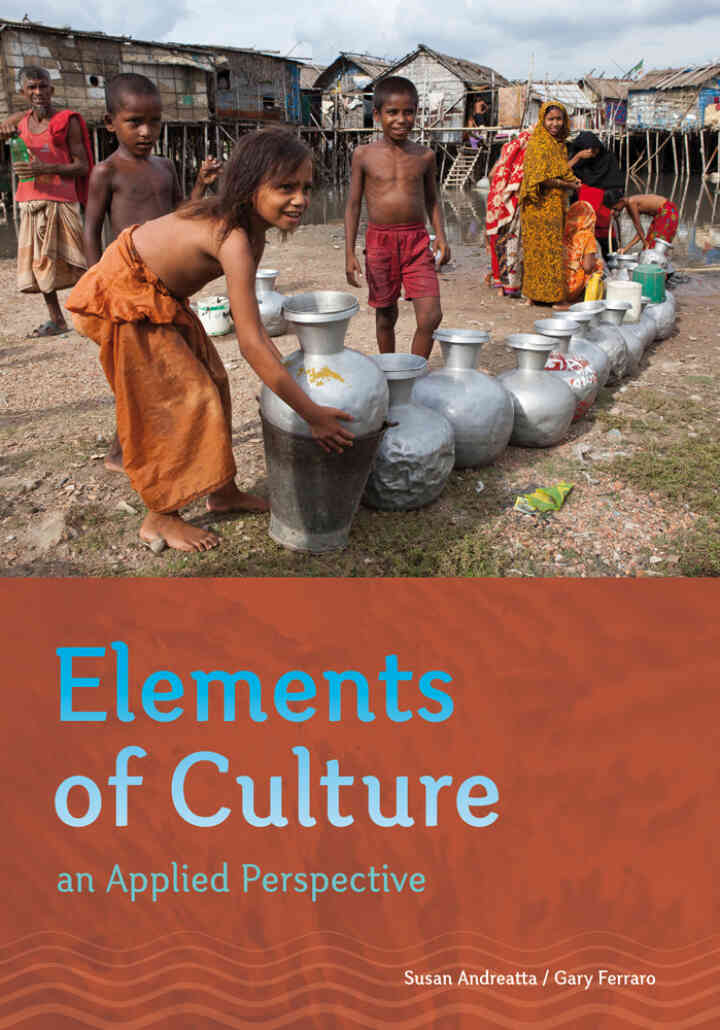Elements of Culture: An Applied Perspective 1st Edition