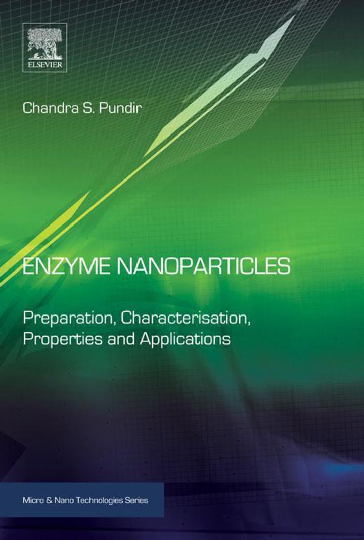 Enzyme Nanoparticles: Preparation Characterisation Properties and Applications