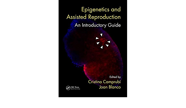 Epigenetics and Assisted Reproduction: An Introductory Guide