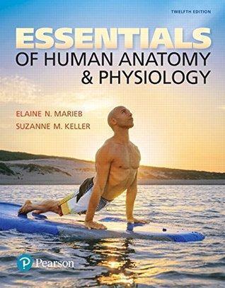 Essentials Of Human Anatomy Physiology 12Th Edition