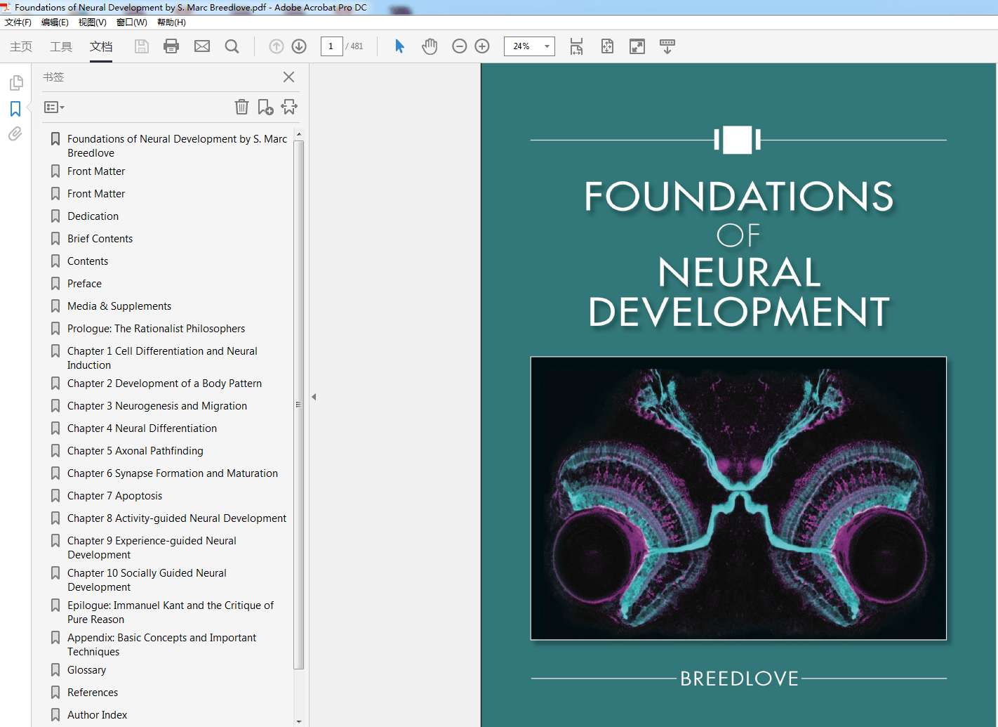 Foundations of Neural Development by S. Marc Breedlove
