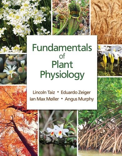 Fundamentals Of Plant Physiology