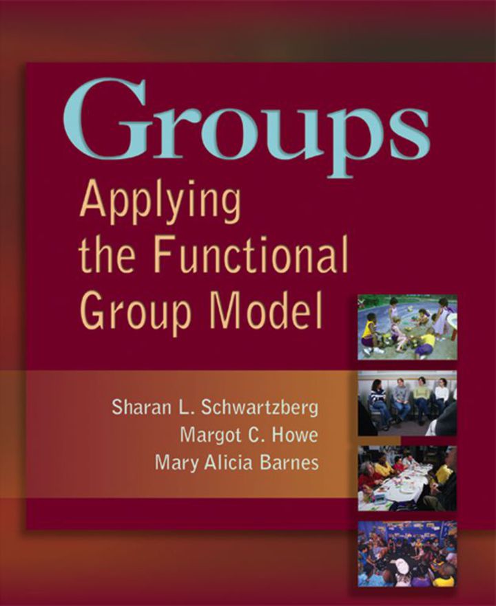 Groups Applying the Functional Group Model