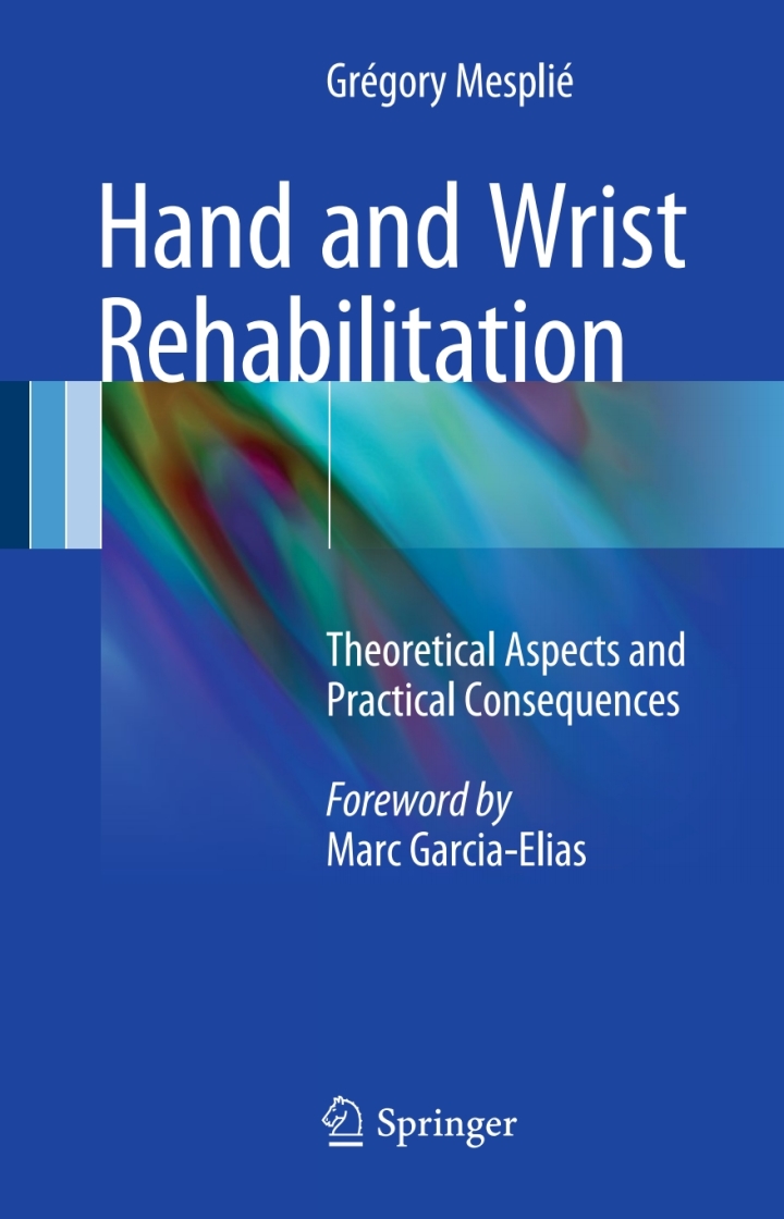 Hand and Wrist Rehabilitation: Theoretical Aspects and Practical Consequences