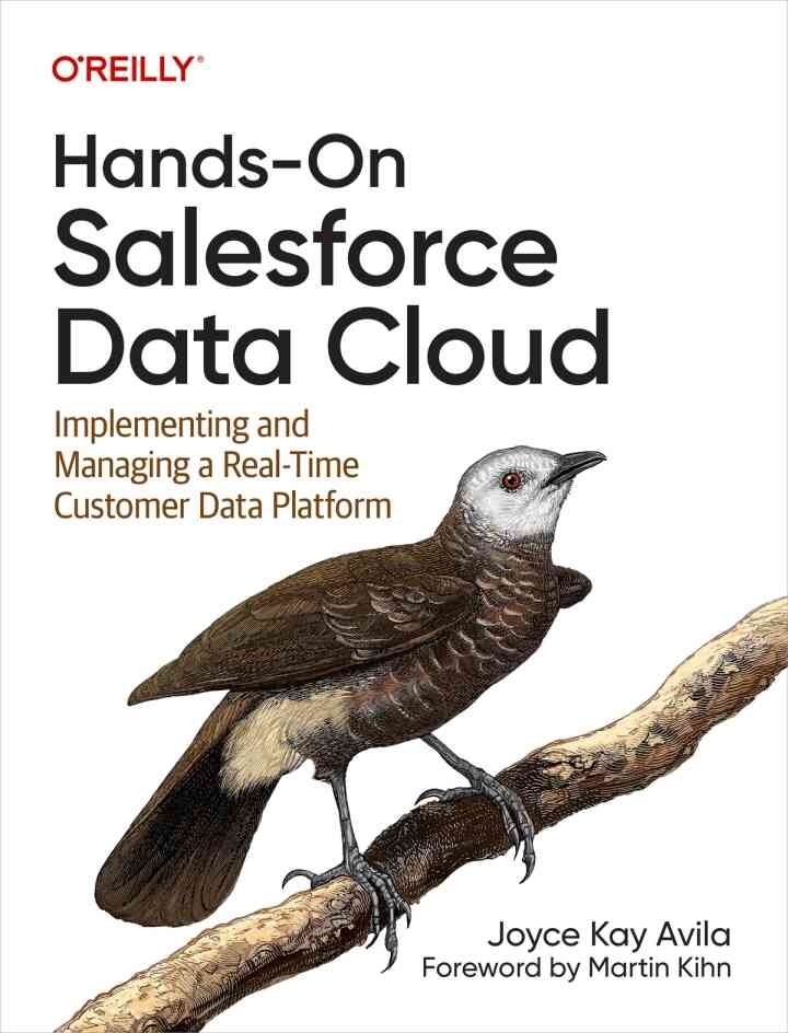 Hands-On Salesforce Data Cloud: Implementing and Managing a Real-Time Customer Data Platform, 1st Edition