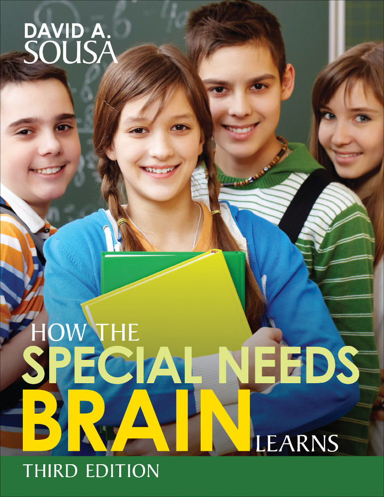 Alternative view of How the Special Needs Brain Learns