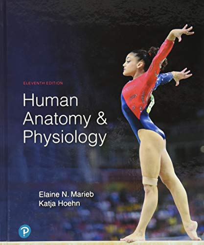 Human Anatomy  Physiology 11th Edition Marieb and Hoehn