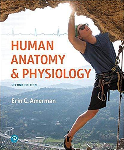Human Anatomy & Physiology 2nd Edition by Erin C. Amerman