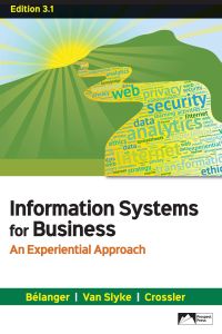 Information Systems for Business: An Experiential Approach Edition 3.1