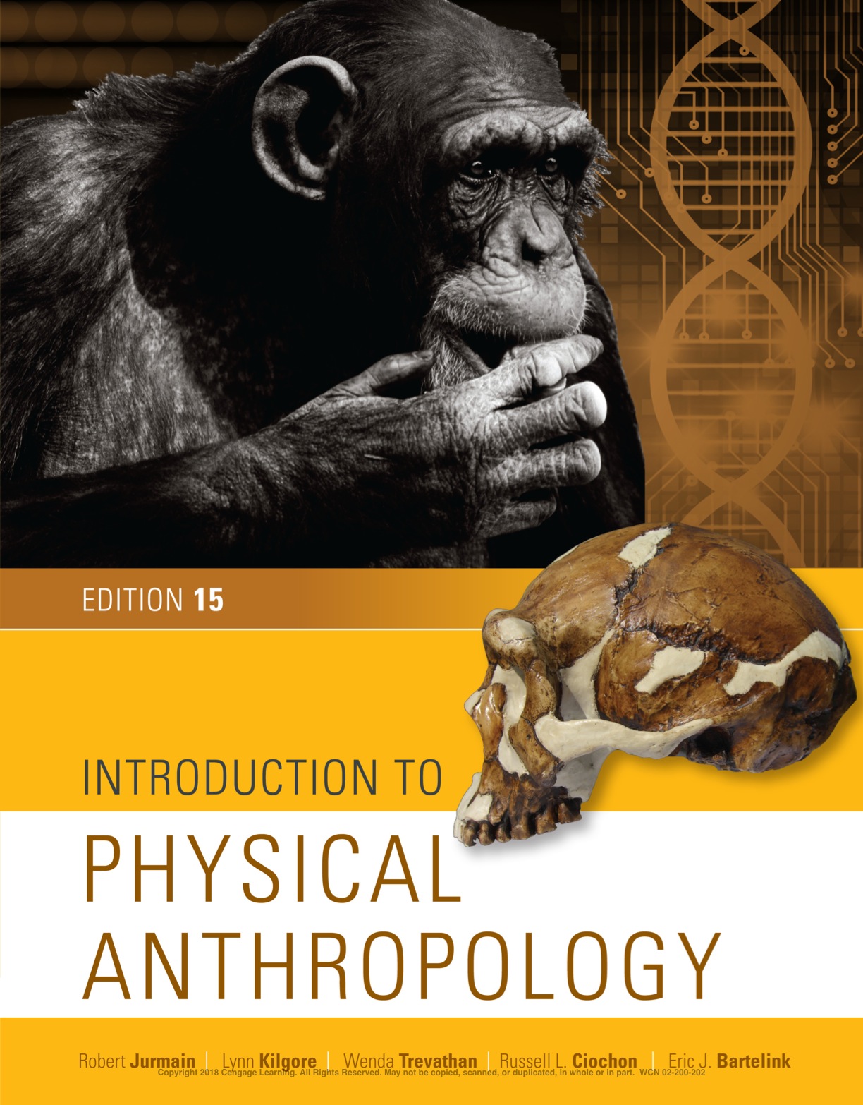 Introduction to Physical Anthropology 15th Edition